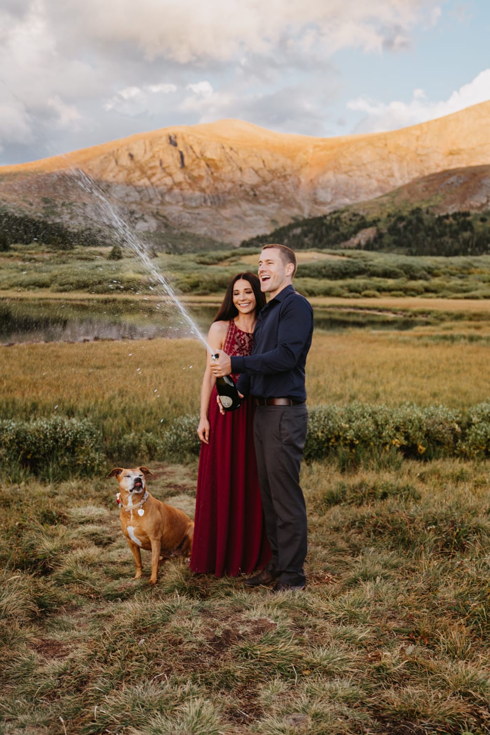 Couple celebrates eloping at the top of Guanella Pass with a champagne explosion and their dog right at their feet. It was the perfect sunset and warm summer night.