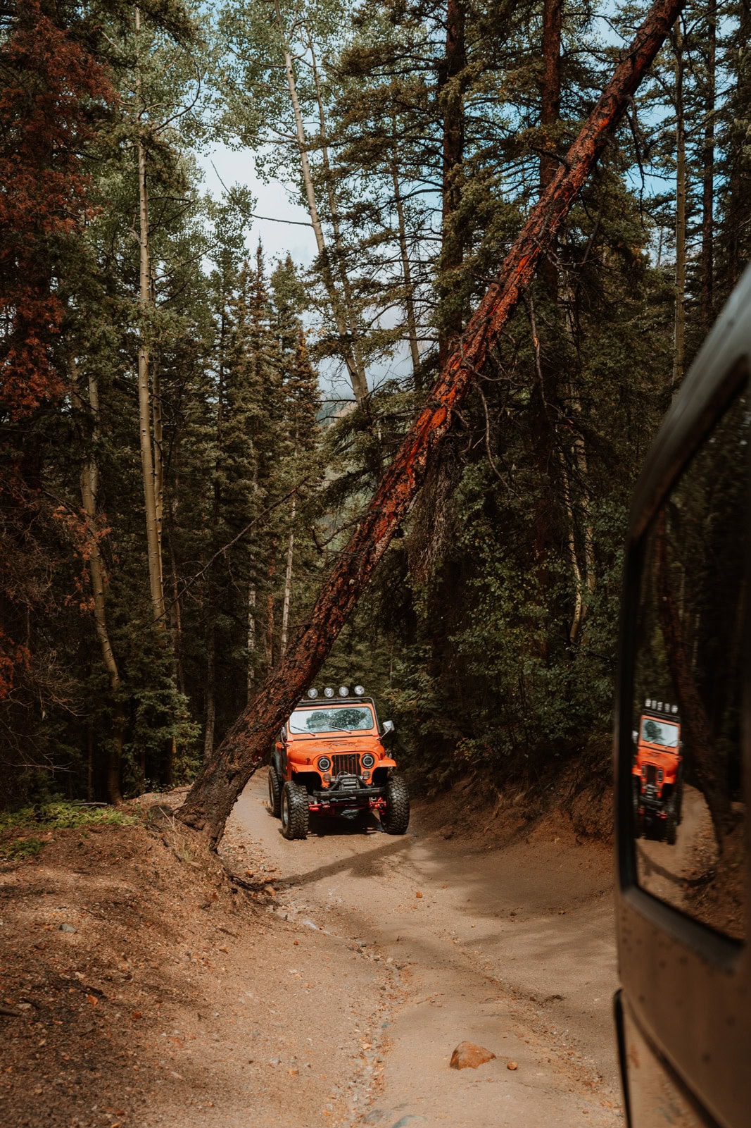 Custom orange jeep driving along a forest road in the Colorado mountains.