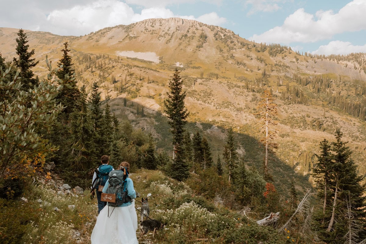 A couple hiking up a dirt mountain trail with their dogs through lush green valleys and wildflowers for their adventurous Crested Butte destination vow renewal.