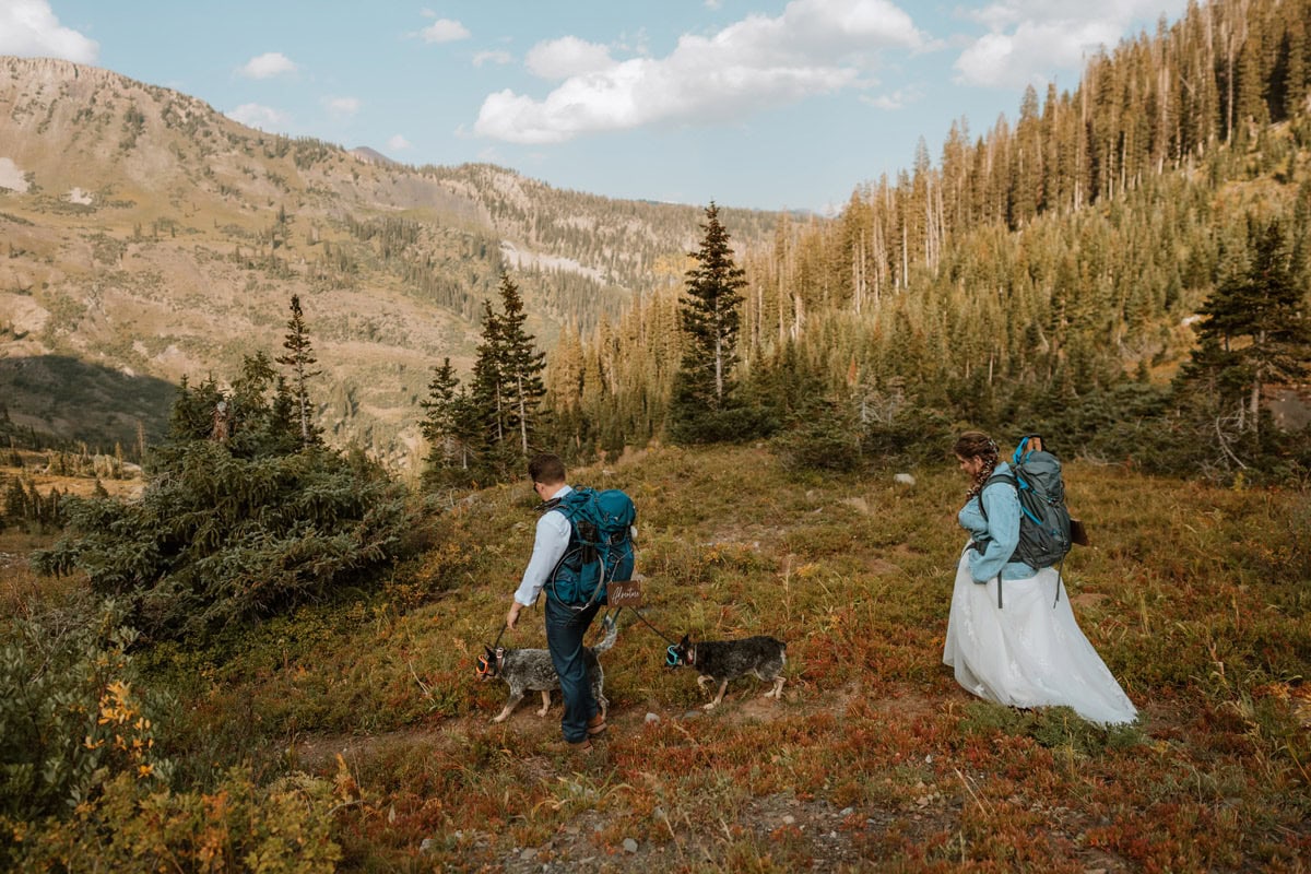 A bride and groom hiking through the Crested Butte mountains in their wedding attire with their two dogs wearing goggles, carrying backpacks with a wooden adventure awaits sign.
